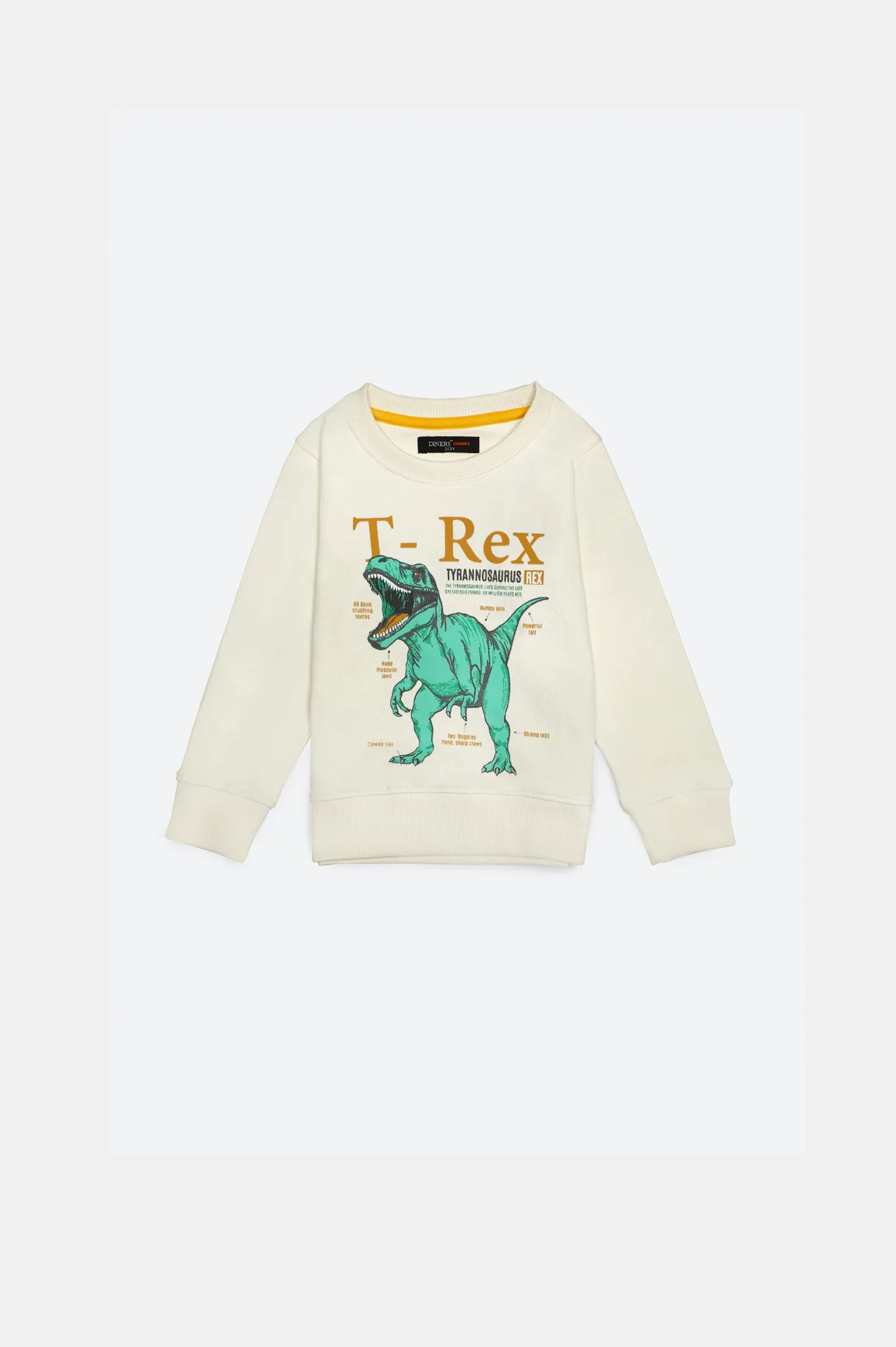 T-Rex Graphic Boys Sweatshirt