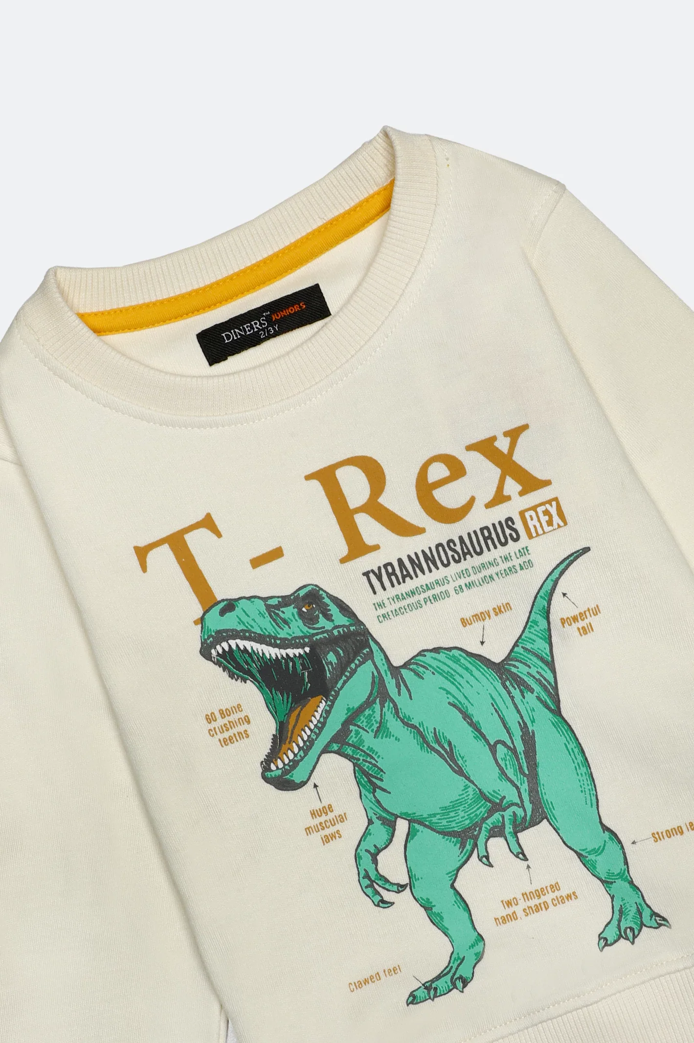 T-Rex Graphic Boys Sweatshirt - Image 2